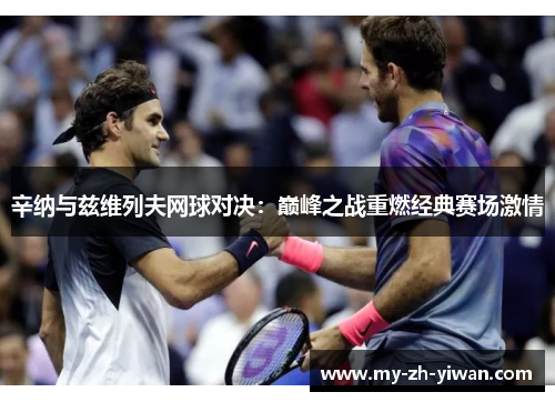 辛纳与兹维列夫网球对决：巅峰之战重燃经典赛场激情