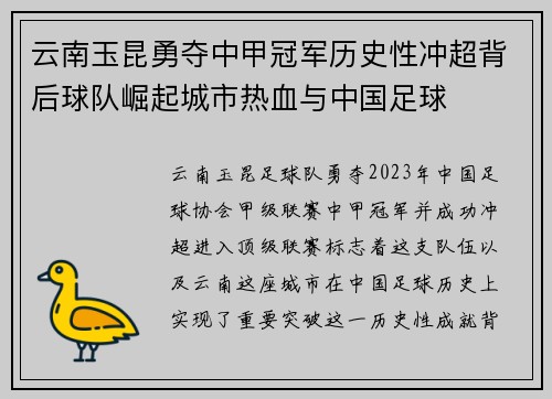 云南玉昆勇夺中甲冠军历史性冲超背后球队崛起城市热血与中国足球